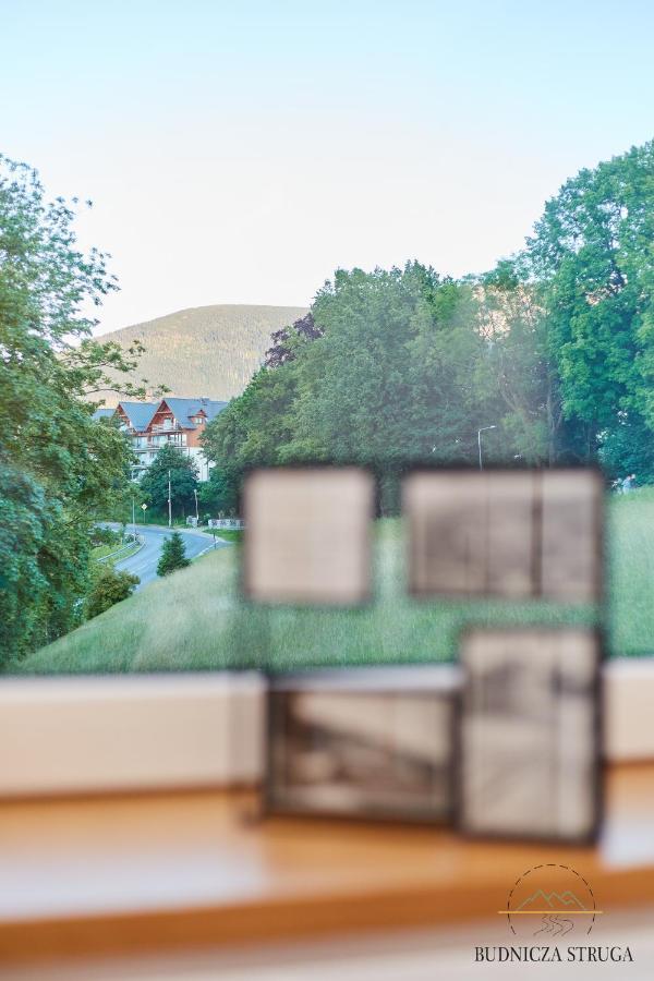 Apartment Budnicza Struga Z Sauna I Parkingiem - 5d *